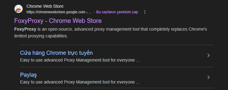 FoxyProxy Chrome Web Mağazası Arama